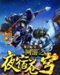 网游之夜宿苍穹