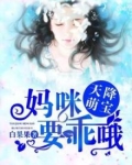 天降萌宝:妈咪,要乖哦 白果果