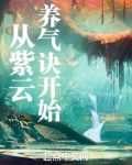 从紫云养气诀开始