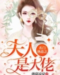 名门热恋之夫人是大佬