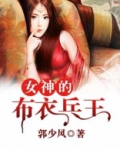 女神的布衣兵王笔趣阁