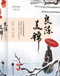 良陈美锦男主