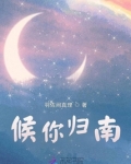 候你归南