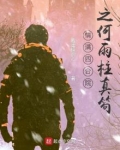 情满四合院何雨柱评价