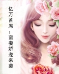 亿万首席:蛮妻娇宠来袭
