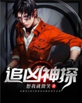 追凶神探
