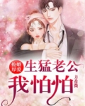 抢婚厚爱：生猛老公我怕怕