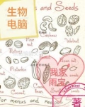 生物电脑是什么意思
