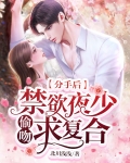分手以后小说