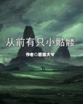 从前有只小骷髅