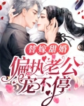 替嫁甜婚老公吻安笔趣阁