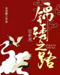 综影视：锦绣之路