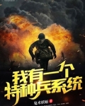 我有一个特种兵系统