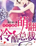 萌翻冷酷总裁:亲亲小新娘