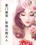豪门盛宠：昏嫁总裁大人