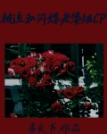 闪婚老公缠不住