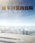 四合院之这不只是四合院 小说