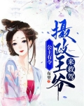 公主摄政王的小说