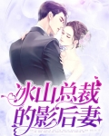 冰山总裁宠妻电视剧全集