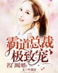 名门暖婚霸道总裁极致宠时清欢