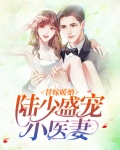 替嫁暖婚 陆少盛宠小医妻