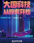 大国科技从败家开始TXT