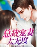 总裁宠妻无度 小说