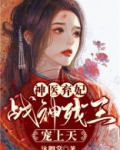 神医弃妃，战神残王宠上天