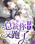 一胎仨宝,总裁超给力