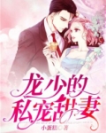 龙少的私宠甜妻林沁莞龙熠邢