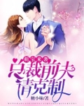 萌宝来袭：总裁前夫请克制