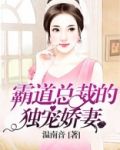 霸道总裁的独宠娇妻