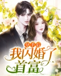 分手后我闪婚了首富