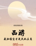 西游你才是孙悟空