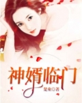 神婿临门叶峰免费
