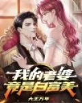 我的老婆竟是白富美