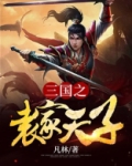 三国之袁家天子全本免费阅读