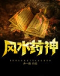 风水药神 小说