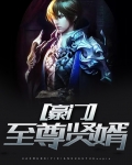 豪门至尊贤婿百度百科