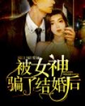 被女神骗了结婚后 李若冰免费阅读