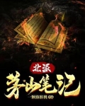 北派茅山笔记怎么样