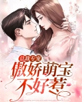总裁专宠：傲娇萌宝不好惹