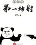 亮剑之第一狙击手 小说