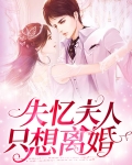 失忆夫人只想离婚百度云