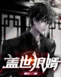 盖世龙婿完整版