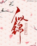似锦全文免费阅读笔趣阁