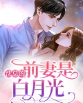 反派前妻是白月光