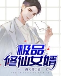 极品修仙高手在都市 小说