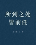 所到之处皆前任