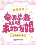 踹崽跑路!帝国总裁红眼求她复婚